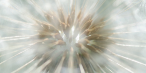 brainspotting therapy near me, brainspotting therapist, brainspotting for anxiety, brainspotting for couples, brainspotting therapy, brainspotting to heal relationships