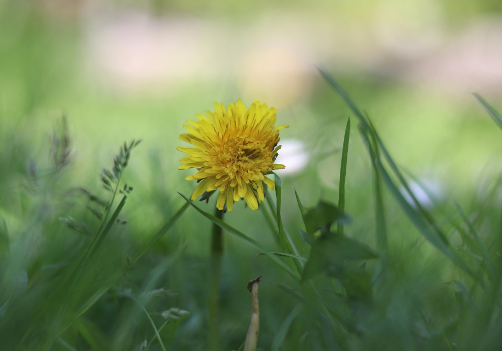 brainspotting therapy, how does brainspotting work, brainspotting for trauma, brainspotting therapy benefits, find brainspotting therapist, brainspotting emotional healing