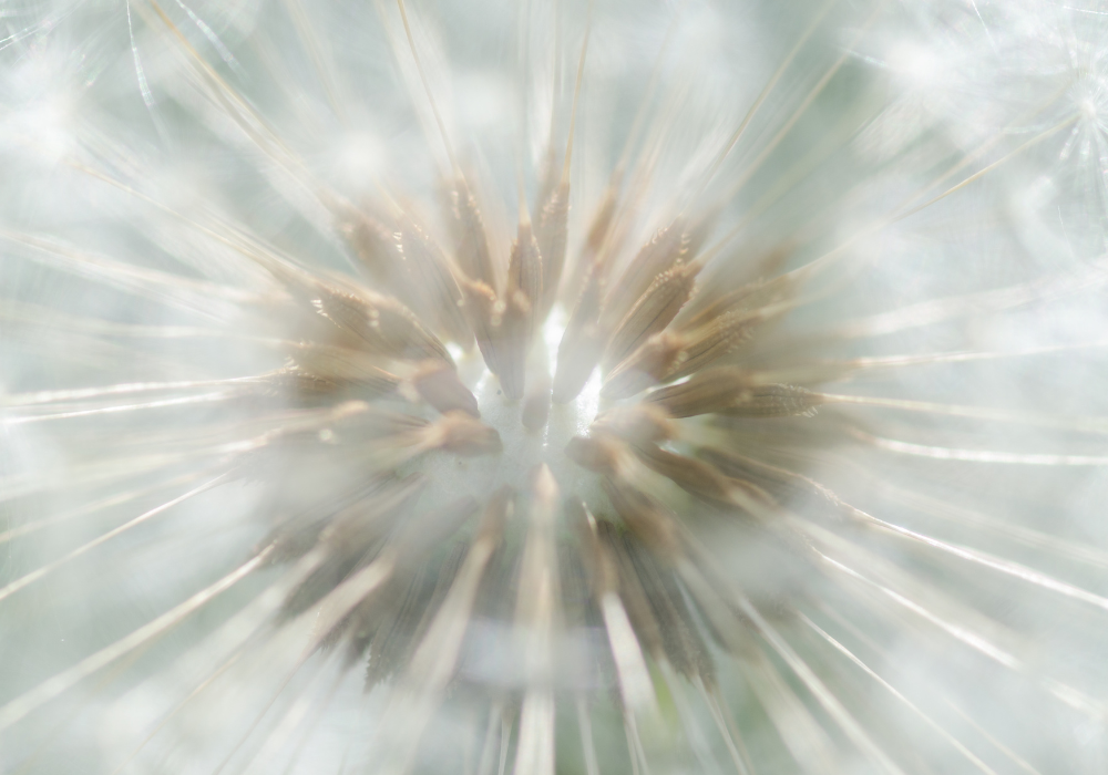 brainspotting therapy near me, brainspotting therapist, brainspotting for anxiety, brainspotting for couples, brainspotting therapy, brainspotting to heal relationships